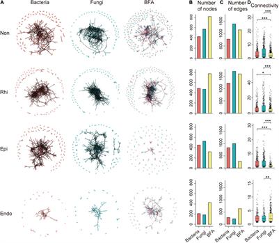 Genetic Elucidation of Quorum Sensing and Cobamide Biosynthesis in Divergent Bacterial-Fungal Associations Across the Soil-Mangrove Root Interface